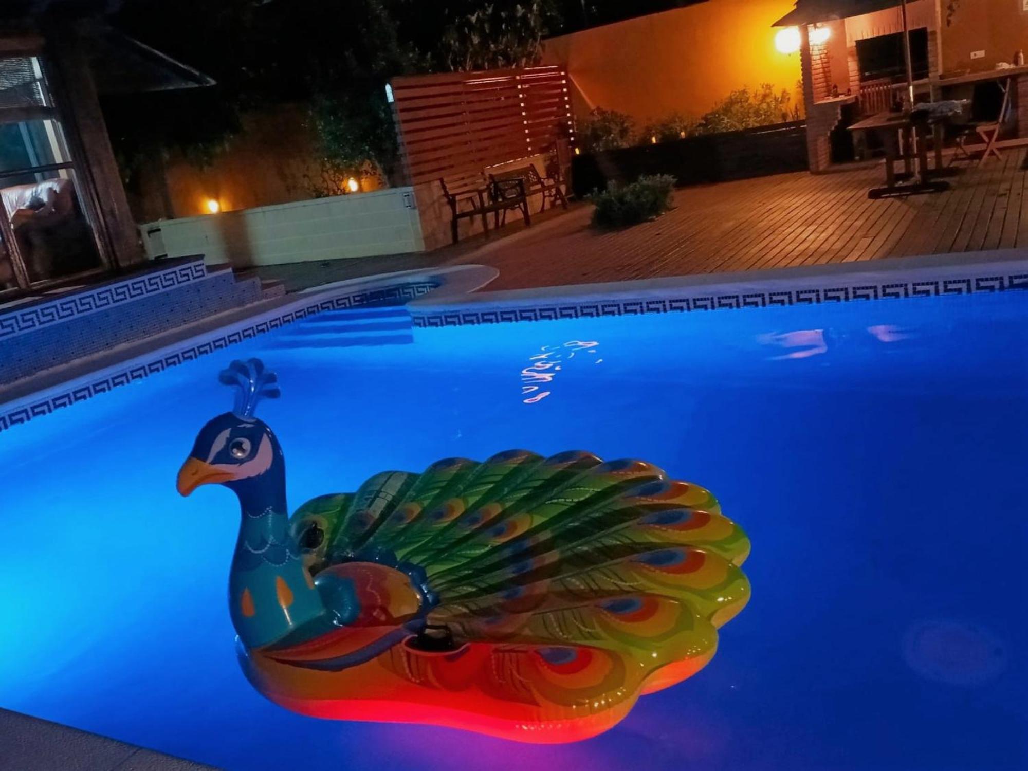 Villa Du Lac Speciale Pour Famille Avec Enfant Riudecanyes 外观 照片